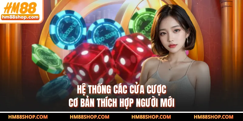 Hệ thống các cửa cược cơ bản thích hợp người mới
