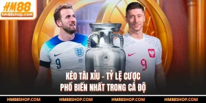 Kèo Tài Xỉu - Tỷ Lệ Cược Phổ Biến Nhất Trong Cá Độ